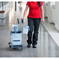 VILEDA - US Pro Systém Push se 2 vědry, 25l + 10l - 1 ks, 147209