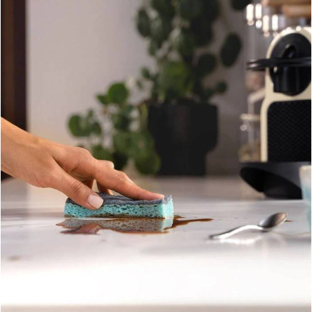 Vileda Pro Clean viskózní houbička 2ks 179700